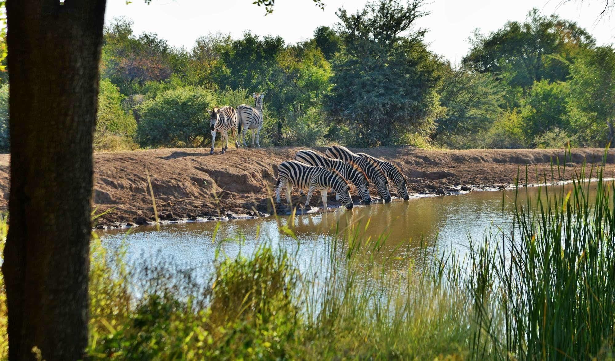 Black Rhino Game Lodge Ruighoek Mine Buitenkant foto